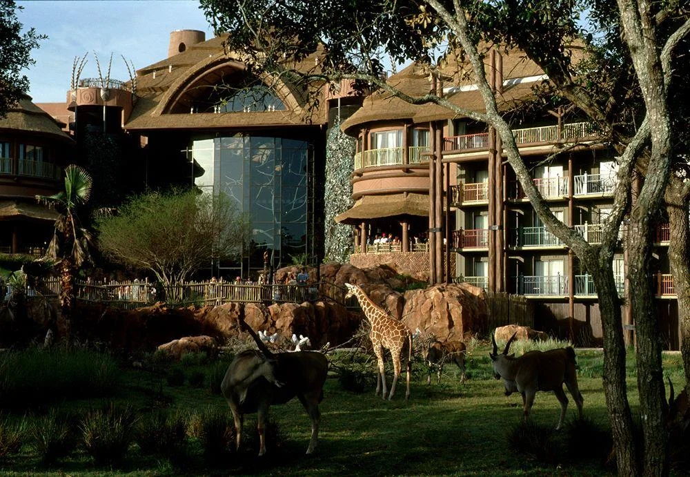 Is Disney Vacation Club Worth It: Disney's Animal Kingdom Lodge Villas Savannah