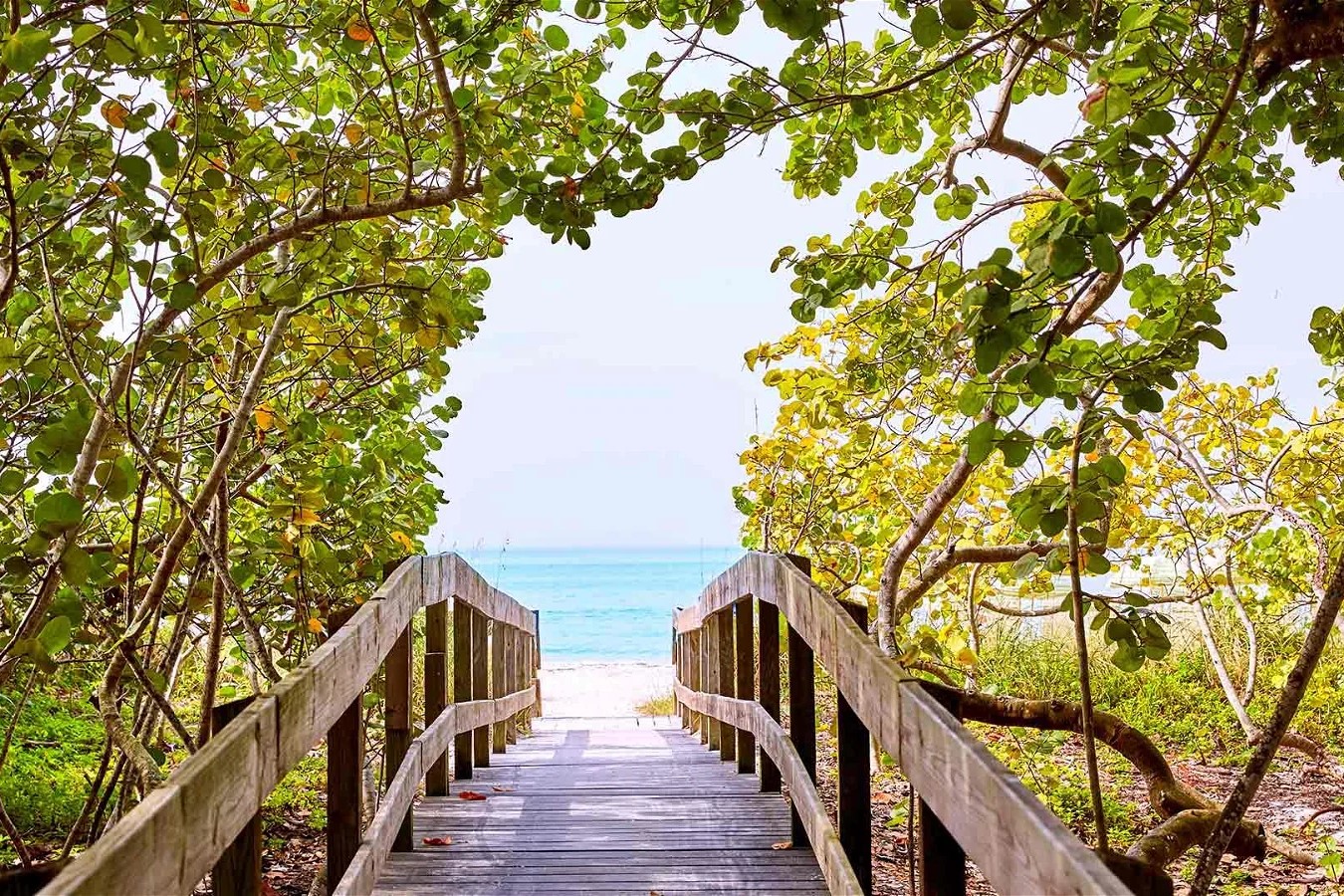 Hyatt Vacation Club at Coconut Cove Beach Access Beach Access