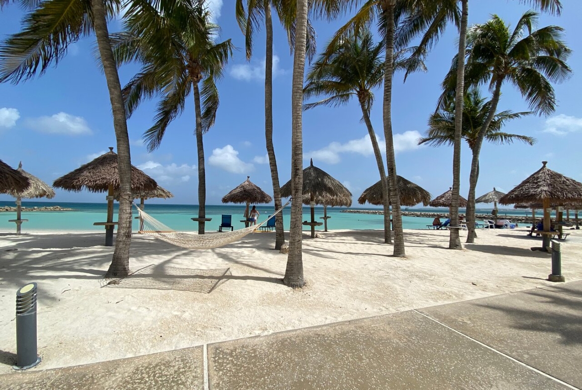 Divi Aruba Phoenix Beach Resort Beach
