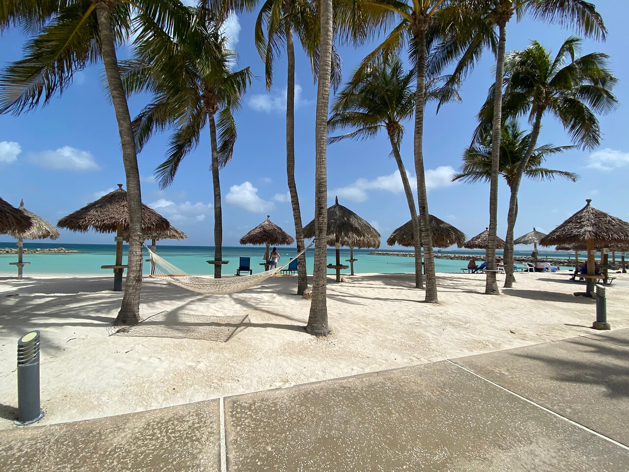 Divi Aruba Phoenix Beach Resort Beach Divi Aruba Phoenix Beach Resort Beach