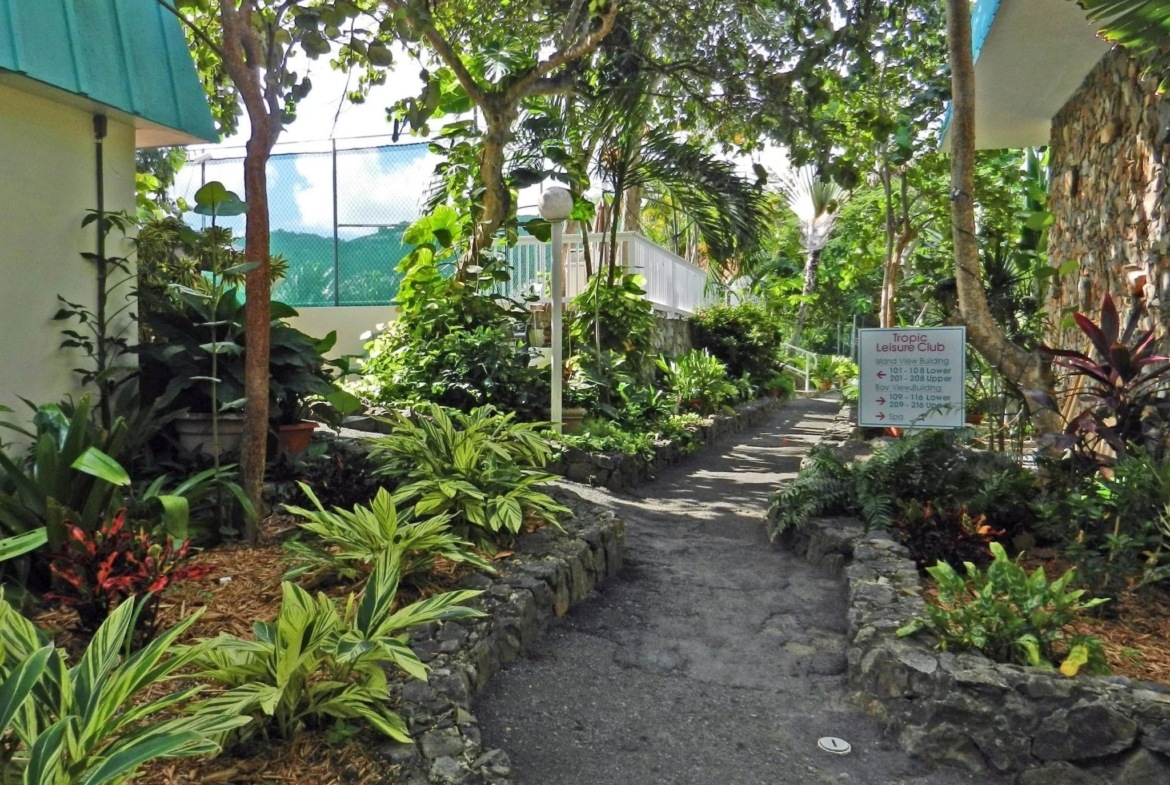 Flamboyan on the Bay Grounds