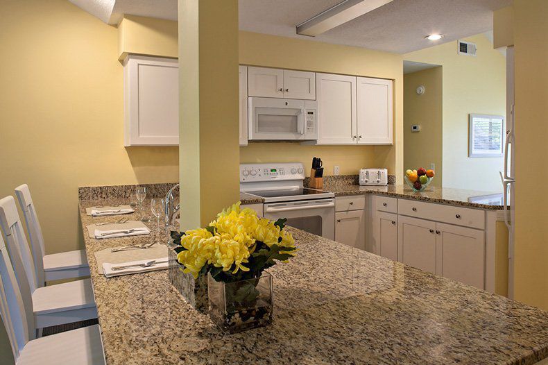kitchen space and counter top