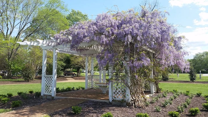 The Historic Powhatan Resort Grounds