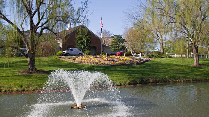 Pond with Water Fountain