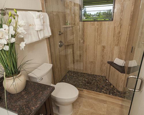Bathroom with walk-in spa shower