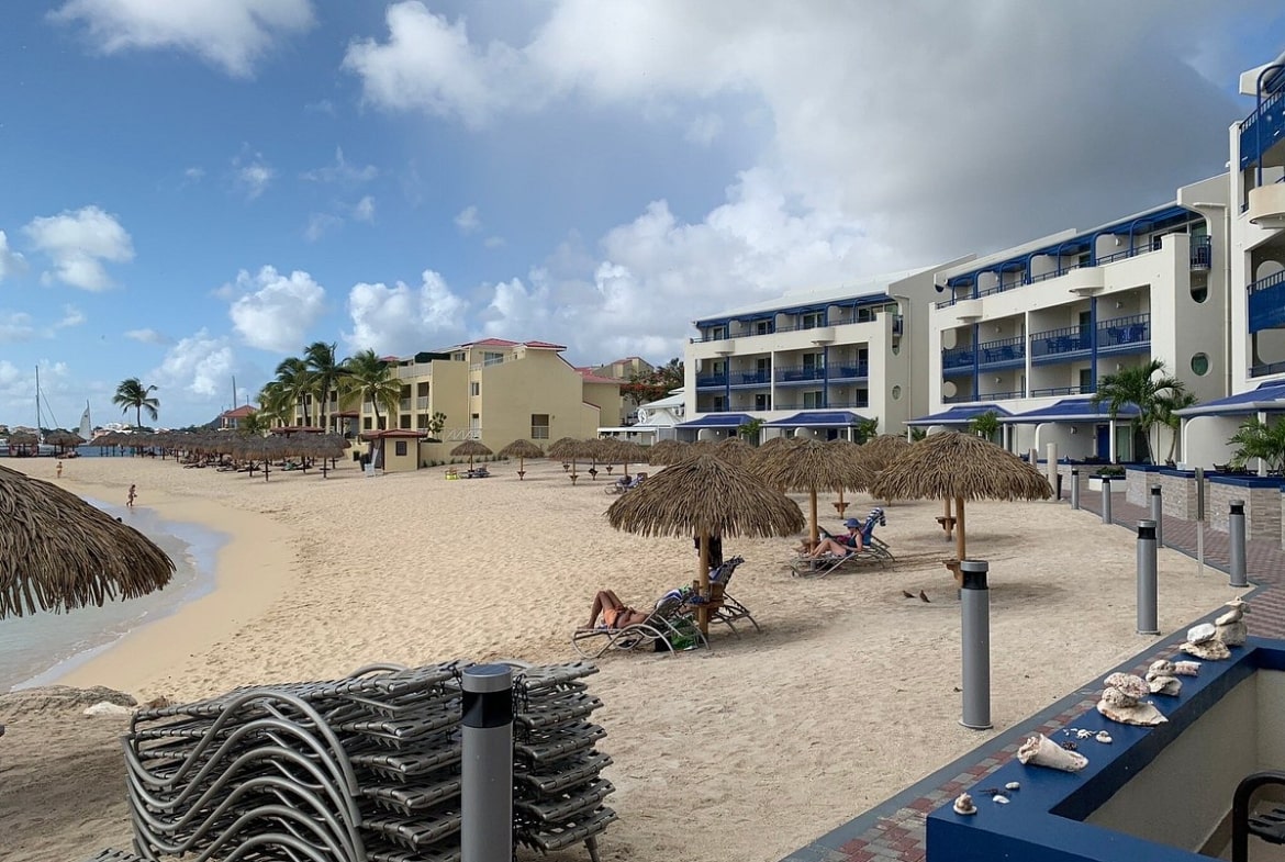 Diamond Flamingo View on the Beach