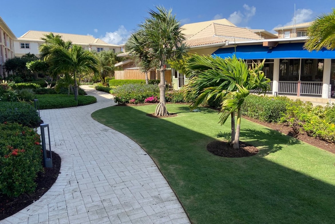 Tropical Landscaping