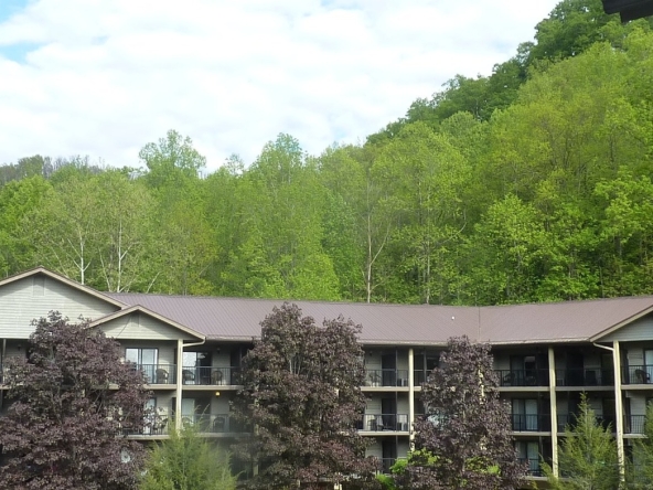 Tree Tops Resort Of Gatlinburg