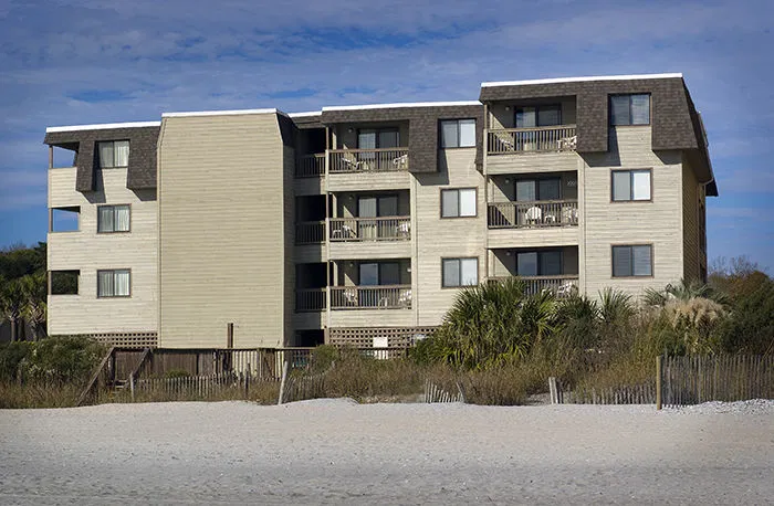 Ocean Forest Colony