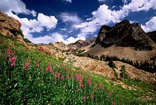 Mountains