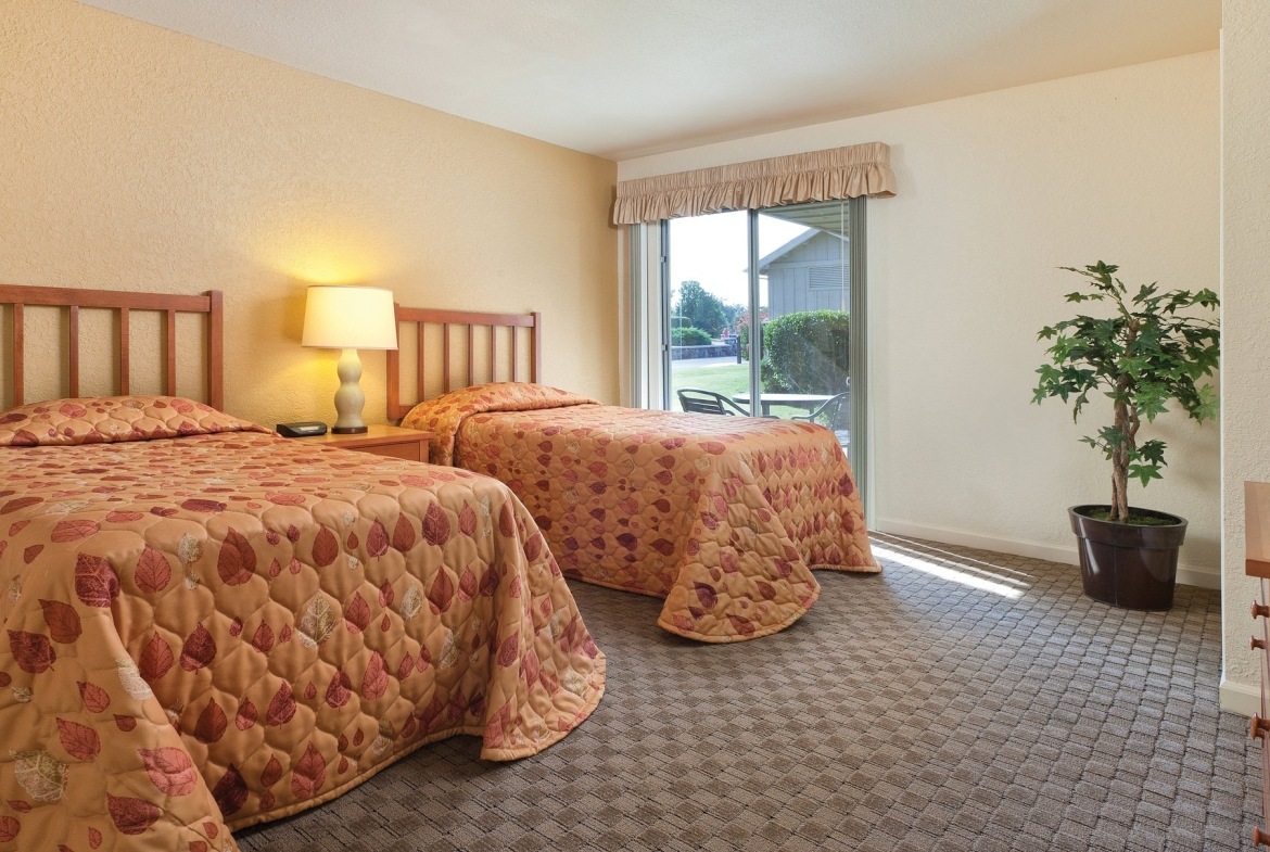 Guest Bedroom