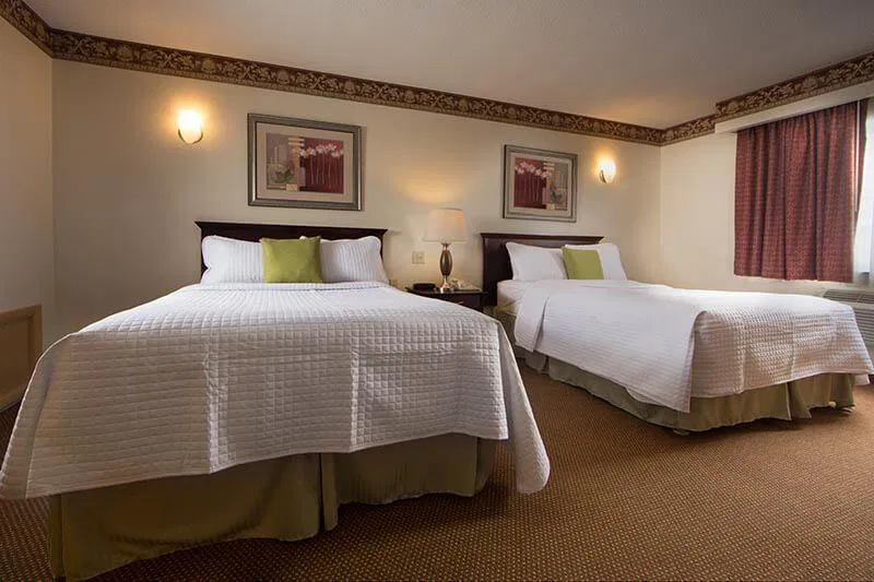 Guest Bed