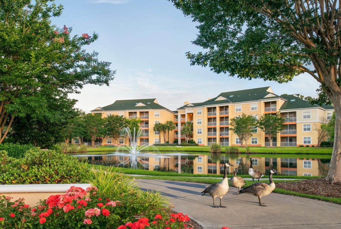 Sheraton Flex Vacation Plan: Sheraton Broadway Plantation