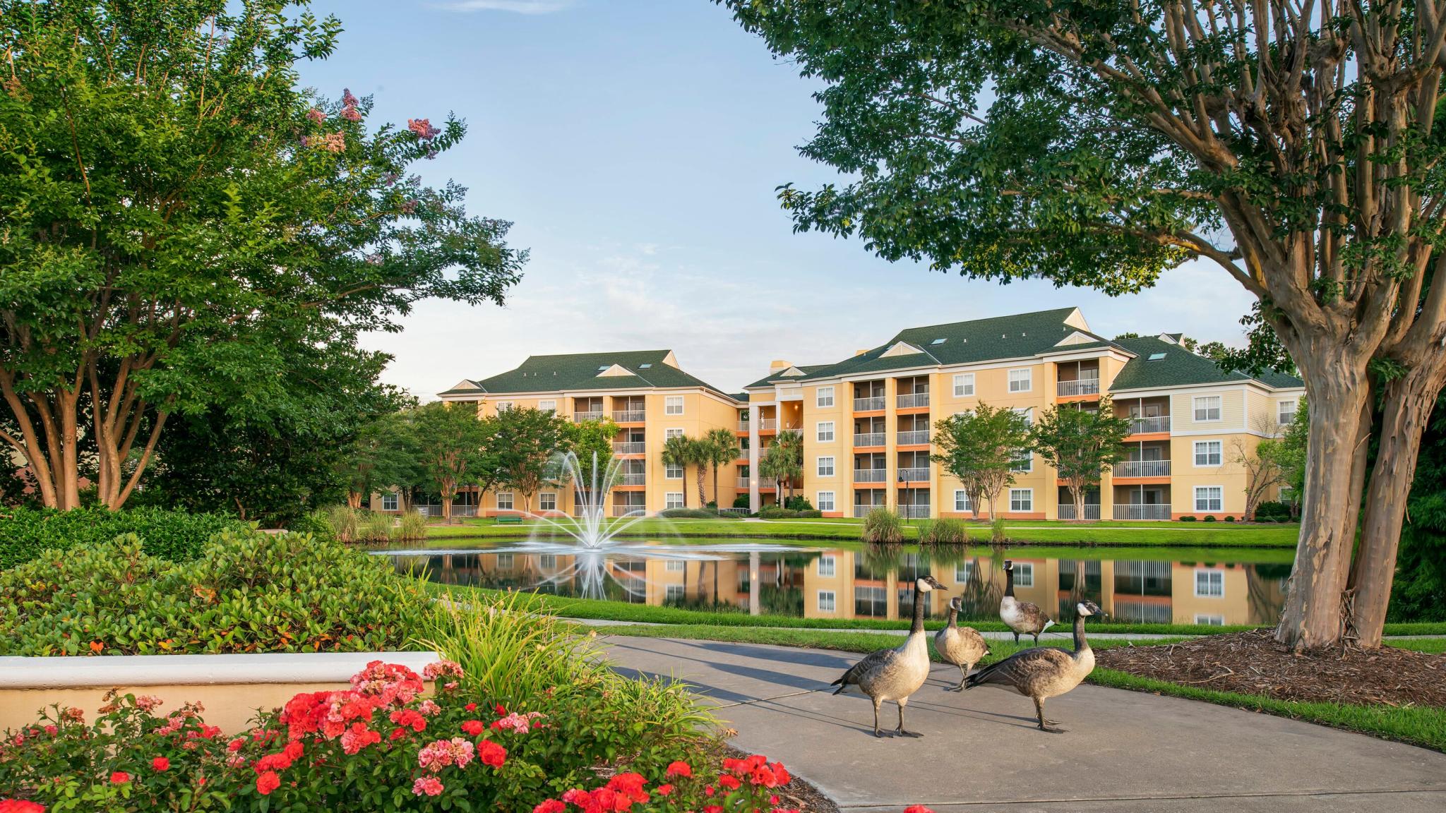 Sheraton Flex Vacation Plan: Sheraton Broadway Plantation Sheraton Flex Vacation Plan: Sheraton Broadway Plantation