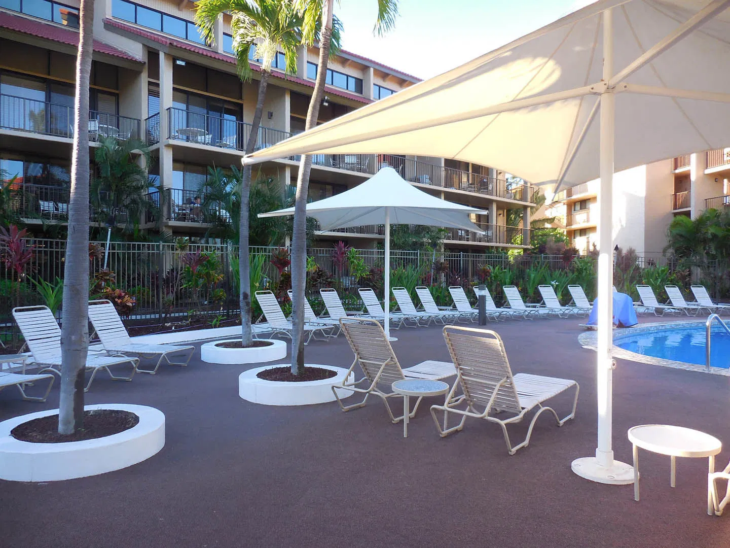 pool area pool area