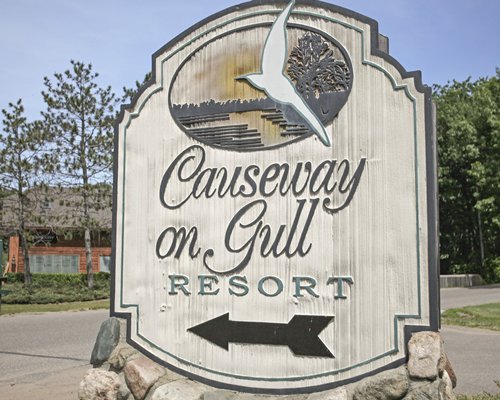 Causeway On Gull