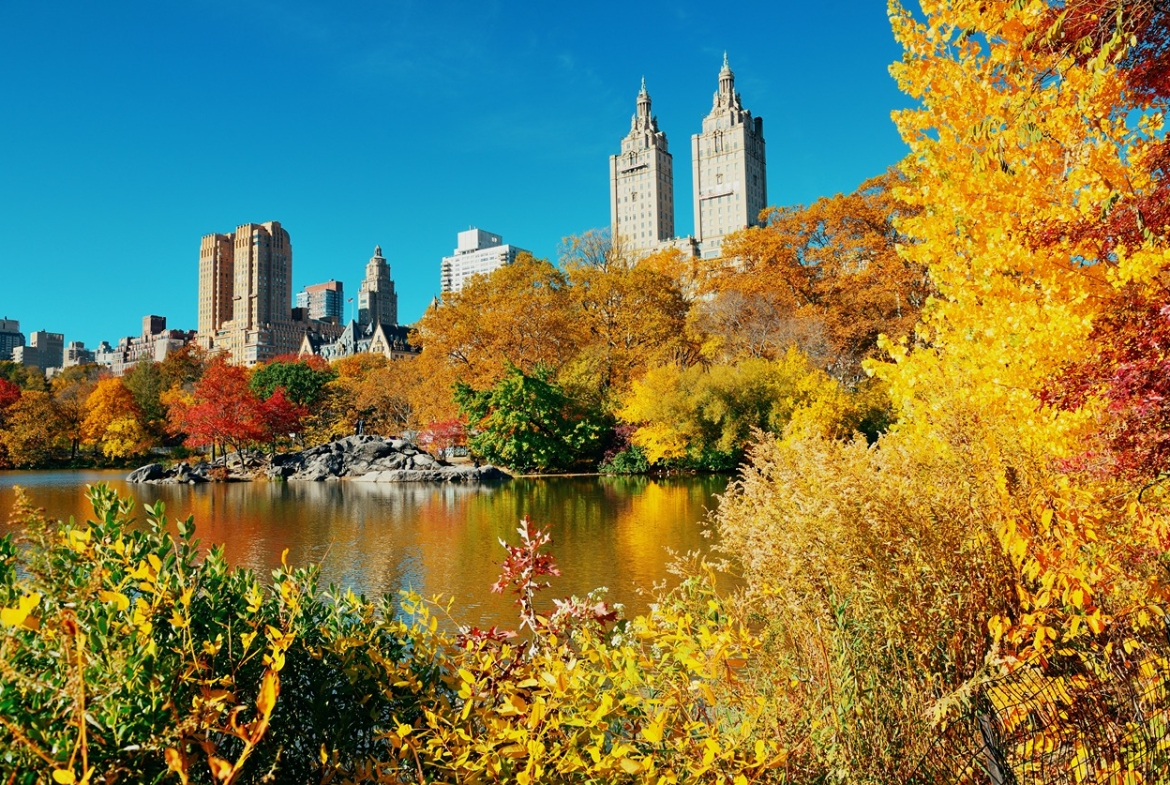 Central Park Autumn