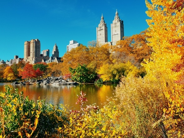 Central Park Autumn