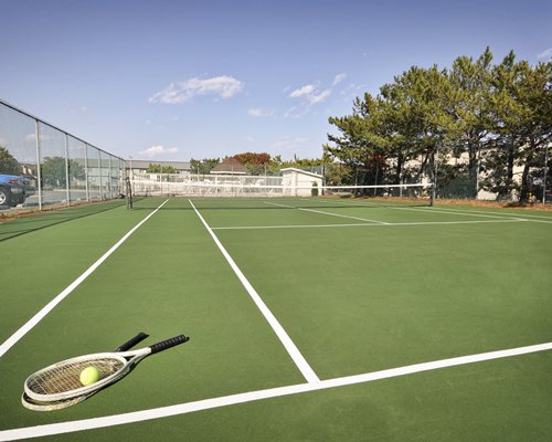 tennis courts