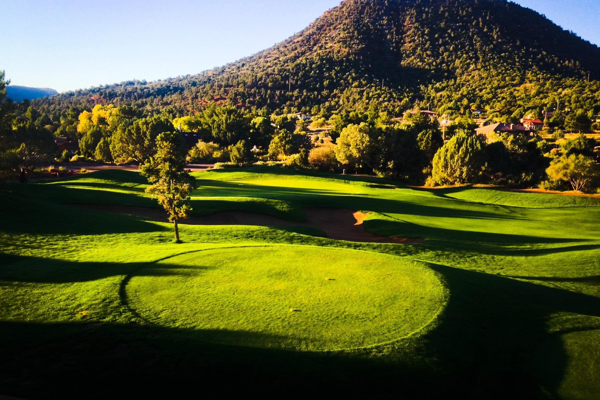 golf area golf area