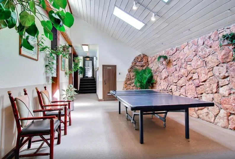 Falcon Point game room