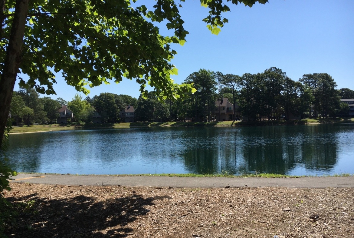 Harbourside II Lake