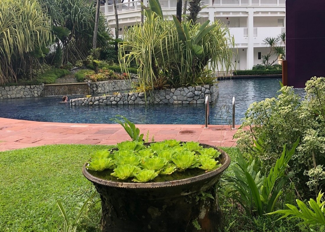 Angsana Laguna Phuket outdoor