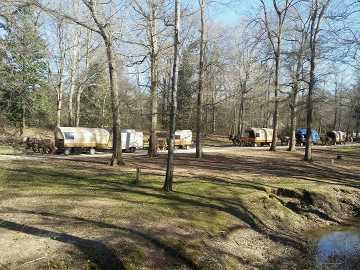 rv resort 3