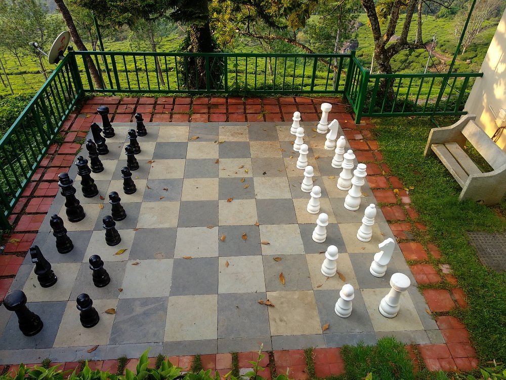 outdoor game