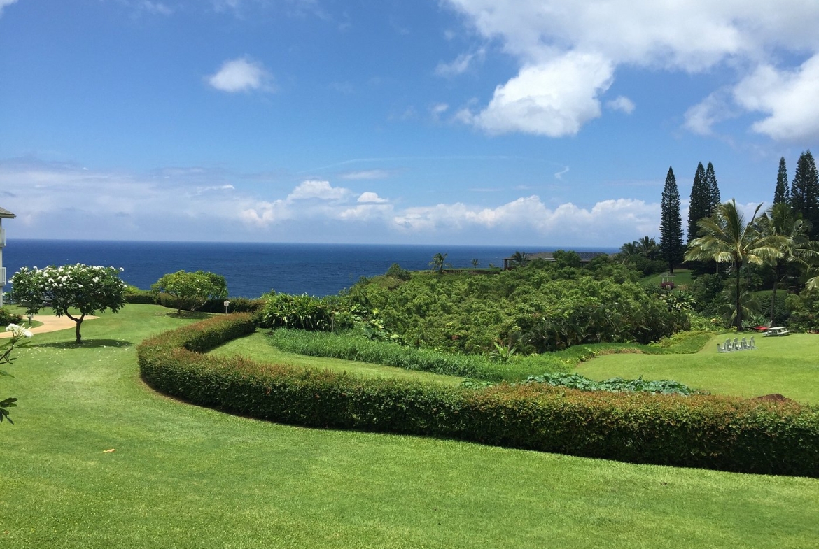 Cliffs Resort greenery