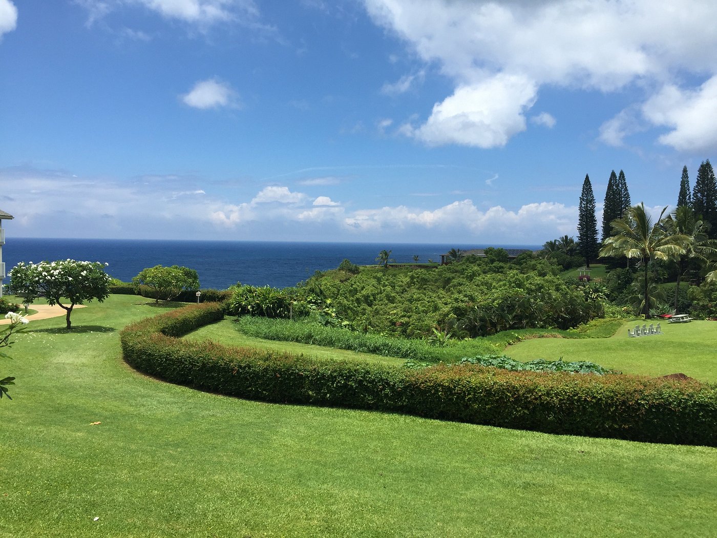 Cliffs Resort greenery