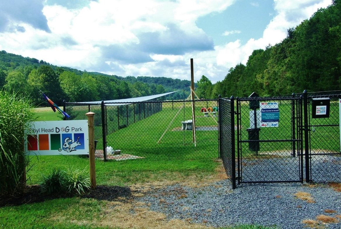 The Pines Dog Park