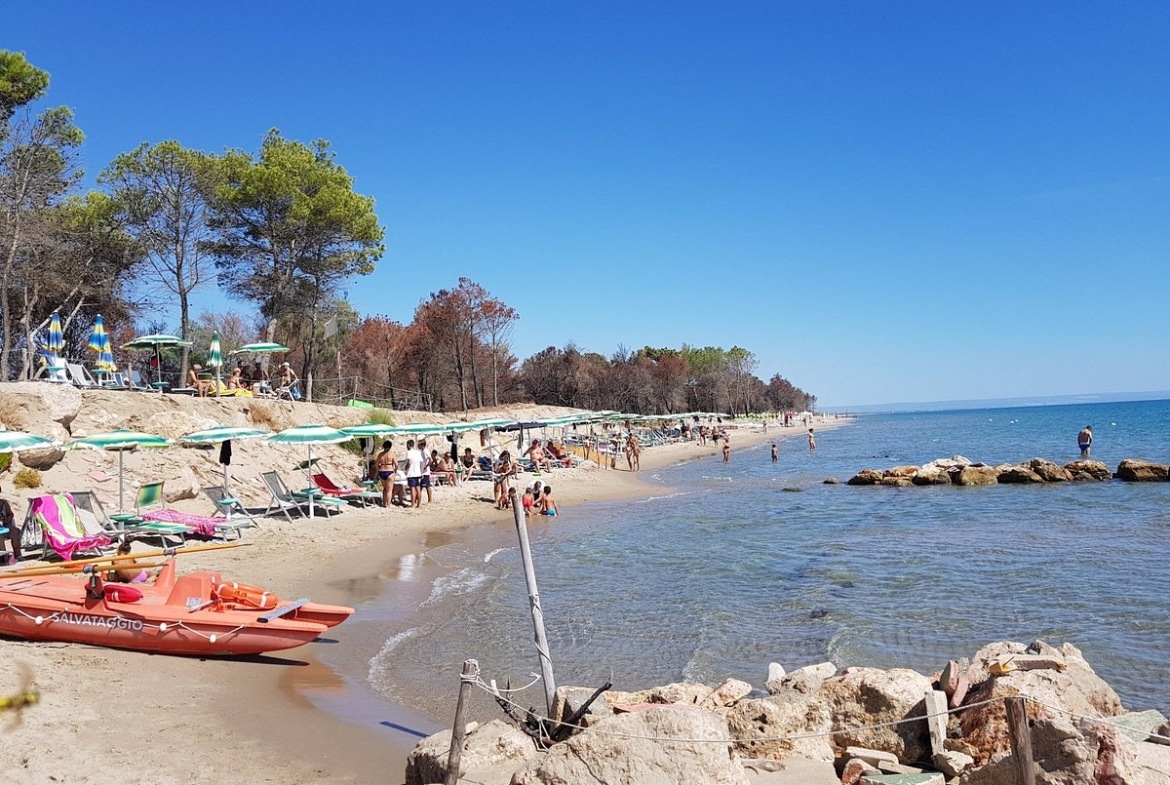 beach area