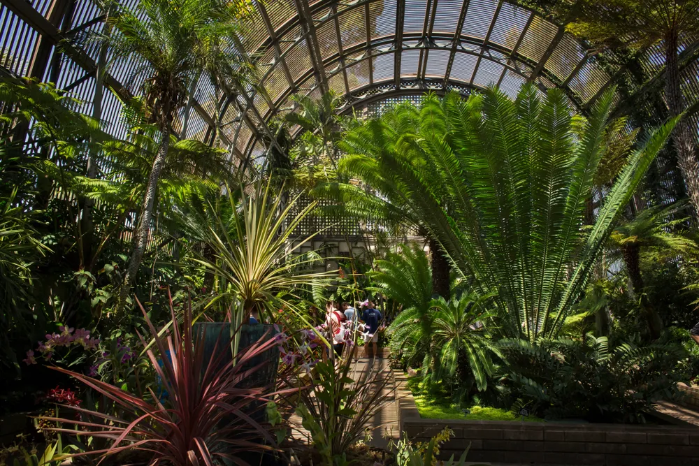 Summer Vacation Ideas: Balboa Park