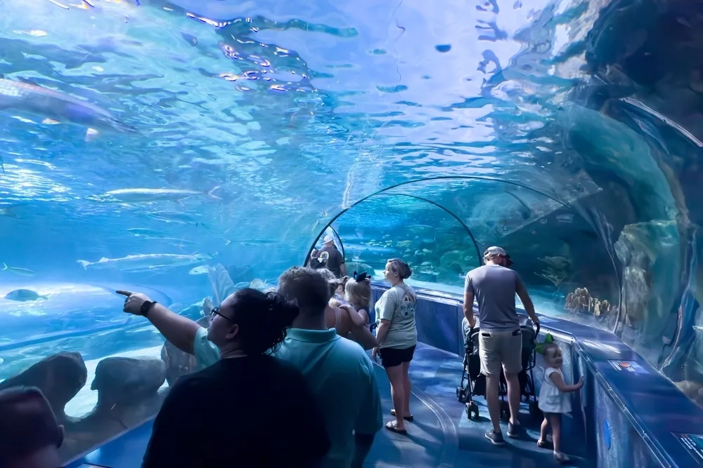 Summer Vacation Ideas: Aquarium Myrtle Beach