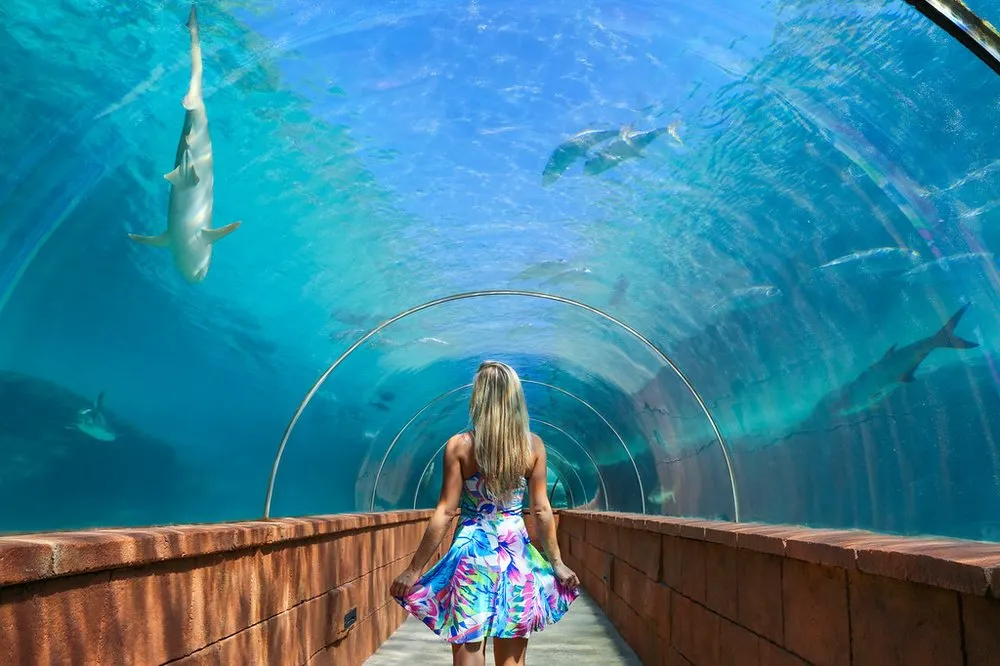 Nassau Vacation: Atlantis Aquarium