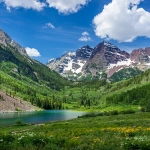 A vibrant landscape photograph of the snow-patched Maroon Bells twin peaks over the calm, deep-green Maroon Lake in Aspen, Colorado. The surrounding slopes are densely covered with pine and aspen forests, leading to a lush, foreground meadow filled with a colorful array of yellow and white wildflowers. A bright blue sky with fluffy white clouds completes the scenic Rocky Mountain view.