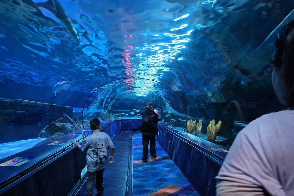 Summer Vacation Ideas Ripley's Aquarium of Myrtle Beach