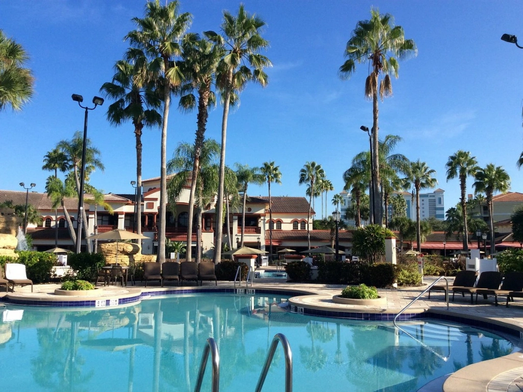 Sunny outdoor pool surrounded by palm trees at an Interval International property, Sheraton Vistana Villages.