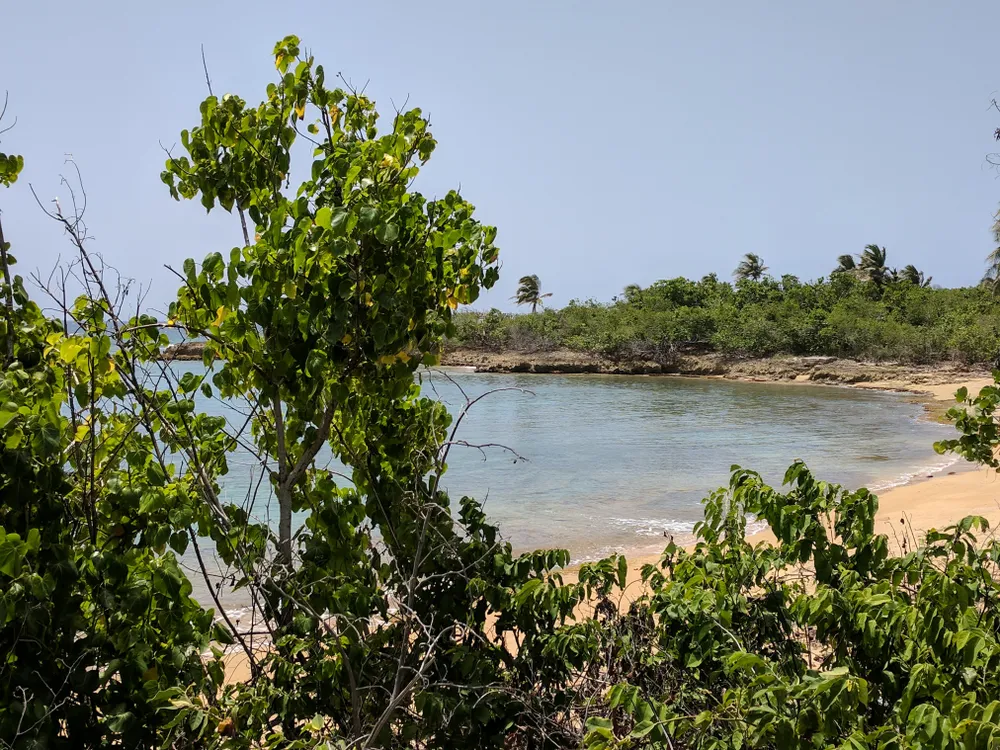Puerto Rico Lagoon Beach