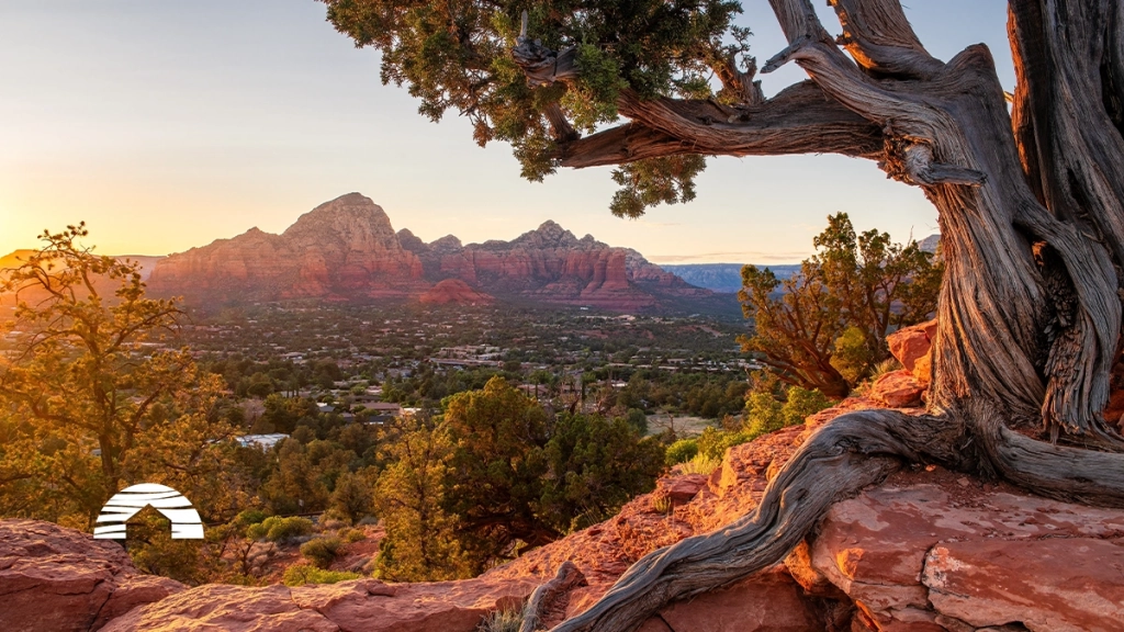 A twisting juniper tree frames a sunset view of a valley and red rock mountains near a Timeshare in Sedona.