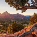 A twisting juniper tree frames a sunset view of a valley and red rock mountains near a Timeshare in Sedona.
