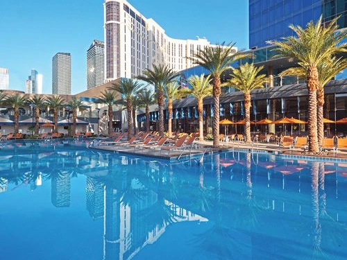 Sunlit outdoor swimming pool surrounded by palm trees at Elara in Las Vegas.