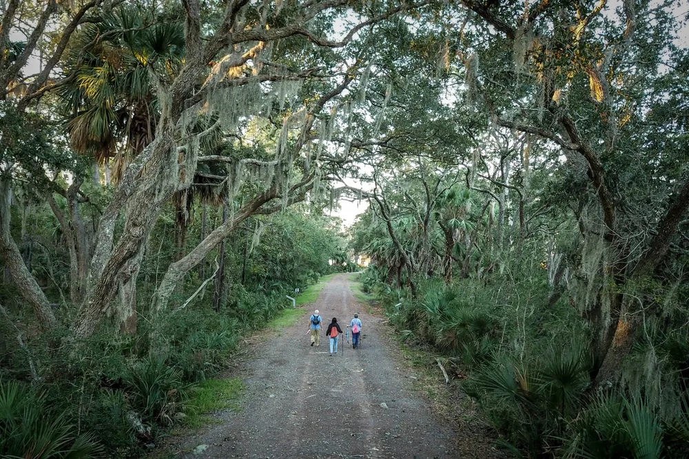 Hilton Head Bike Trail