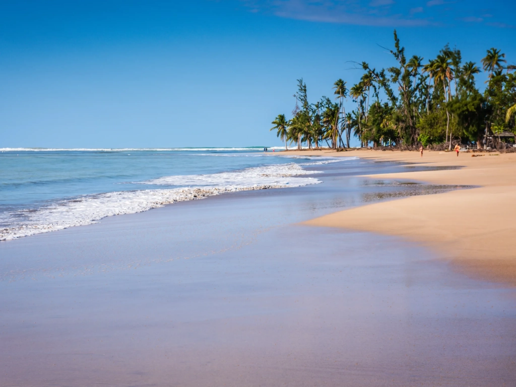 Calm tropical beach near a timeshare in Puerto Rico, with golden sand, palm trees, and clear blue skies.
