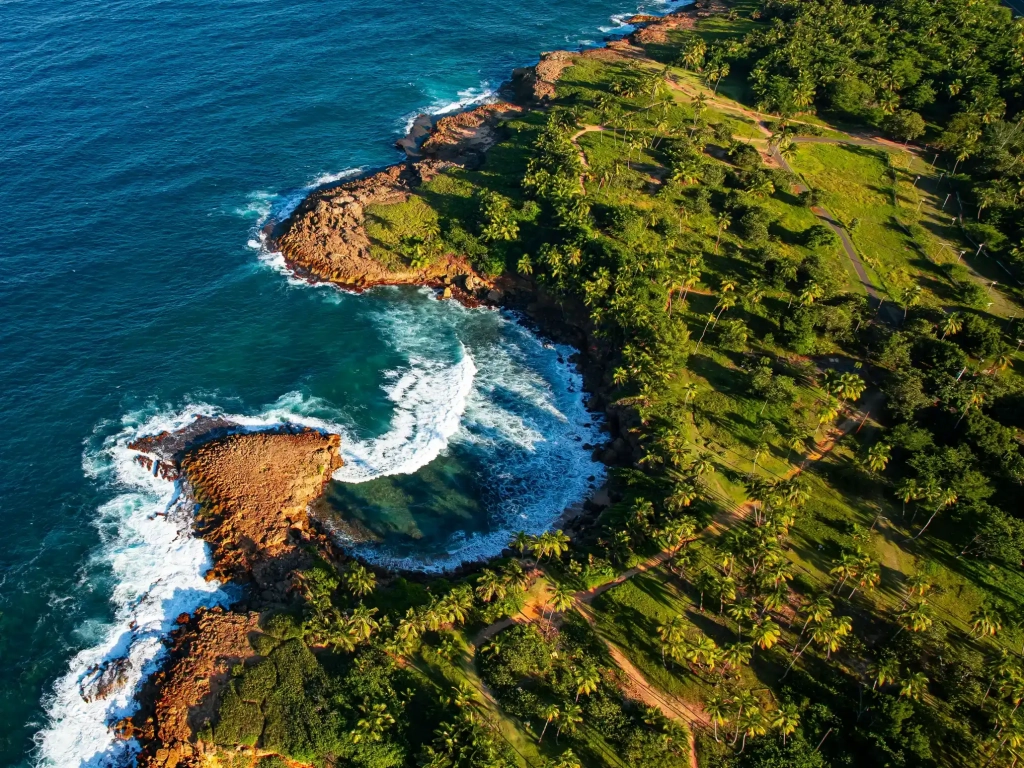 Aerial view of lush coastline near a timeshare in Puerto Rico, with rocky outcroppings, crashing waves, and palm-covered hillside.