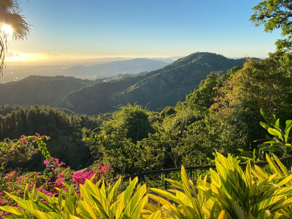Lush tropical mountain valley at sunset with vibrant pink bougainvillea and layered green hills receding to the horizon.